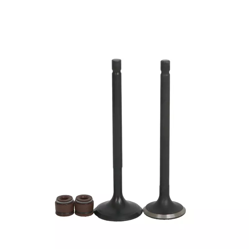 عکس 0 سوپاپ وگو اچ ال ایکس آپاچی 150 راکس واروک