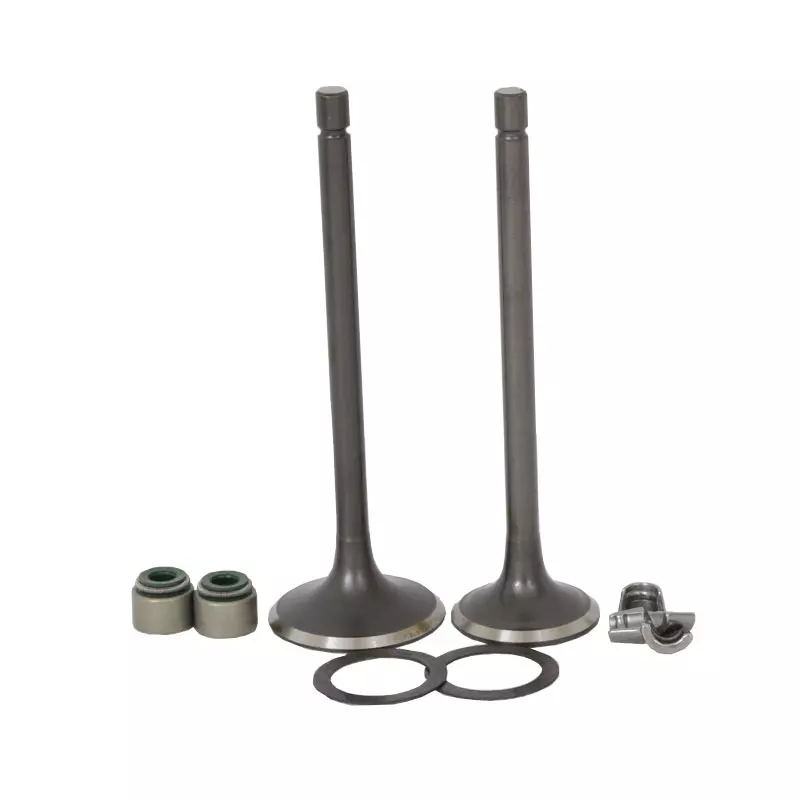 عکس 0 سوپاپ هوندا 150 کاگاوا