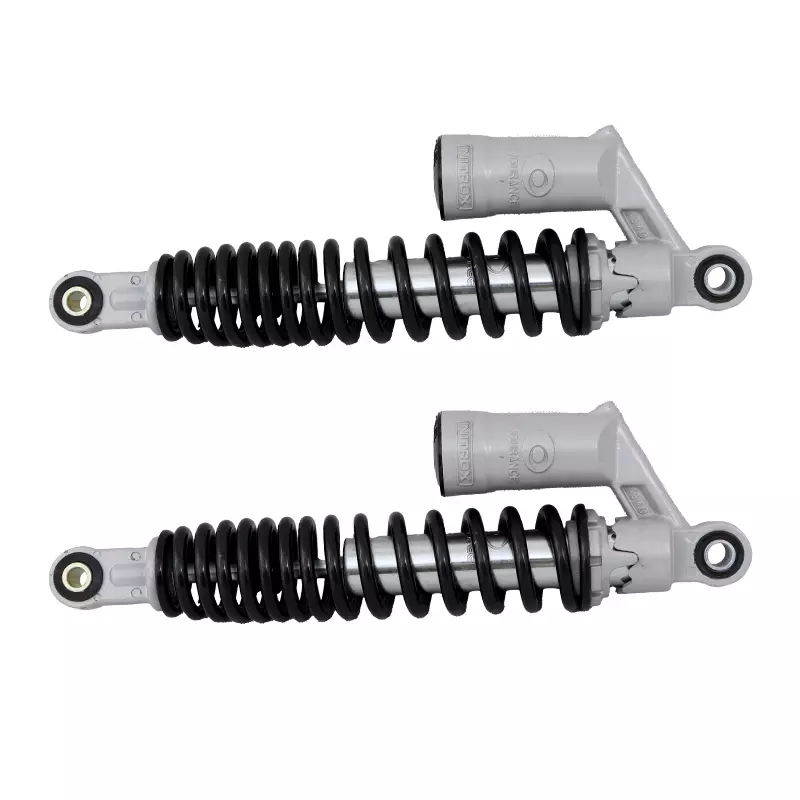 عکس 0 کمک عقب پالس نقره ای اندورانس