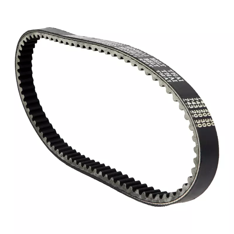 عکس 0 تسمه 743 کاوان چمپیون