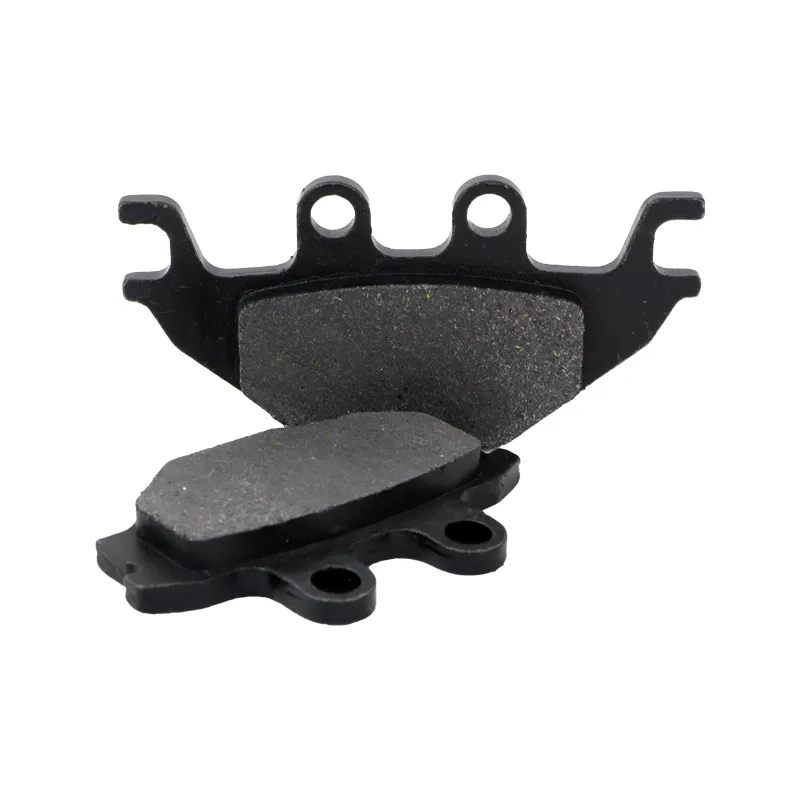 عکس 0 لنت عقب ان ای YS